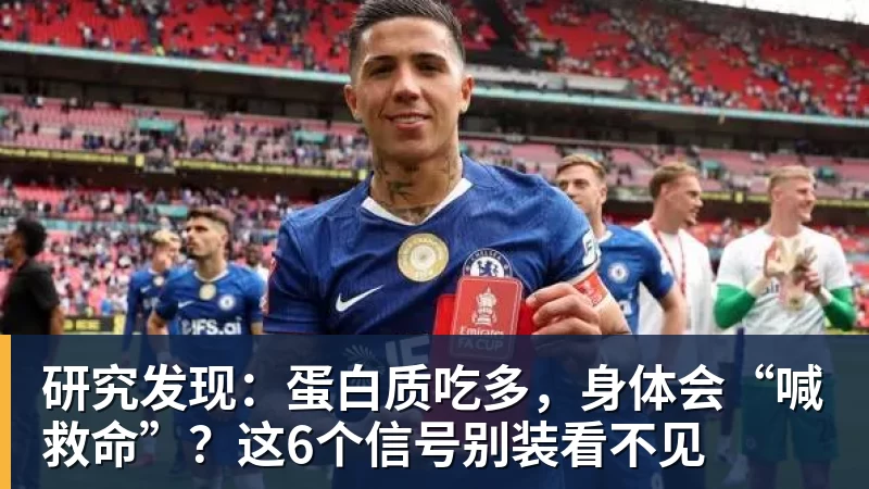 开云·体育研究发现：蛋白质吃多，身体会“喊救命”？这6个信号别装看不见
