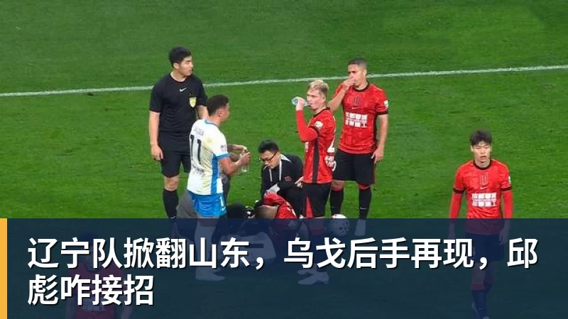 开云·体育辽宁队掀翻山东,乌戈后手再现,邱彪咋接招